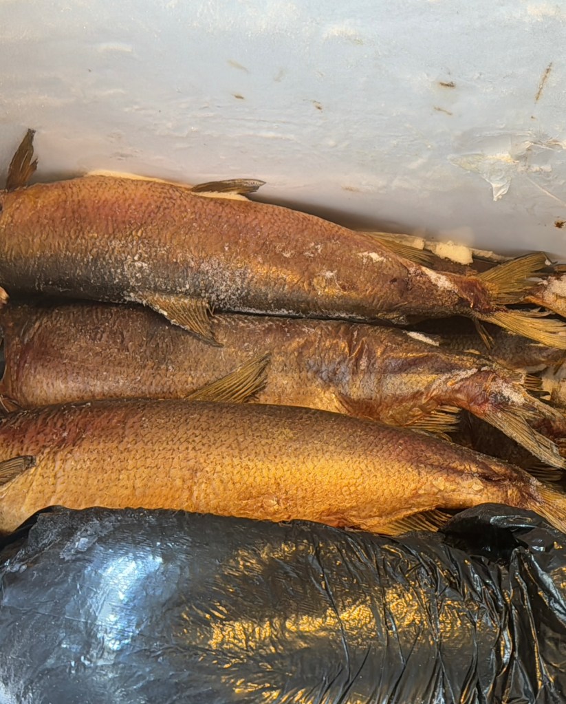 This image has an empty alt attribute; its file name is img_5161.jpg