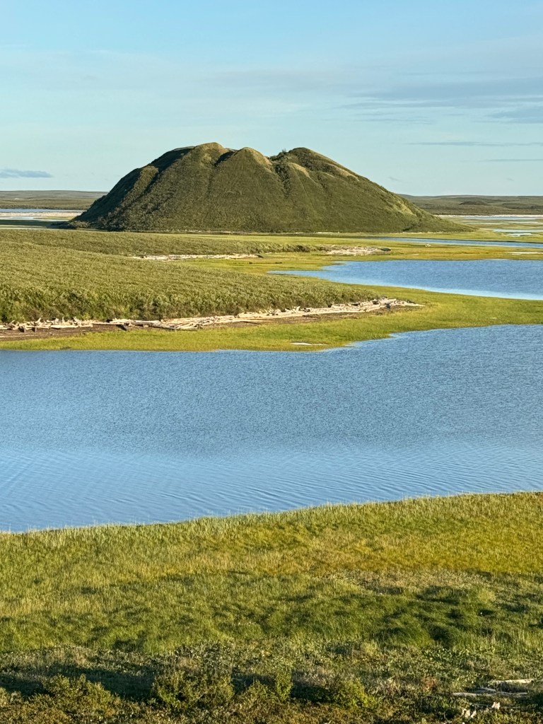 This image has an empty alt attribute; its file name is img_5206.jpg