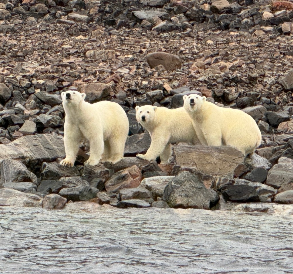 Bellot Strait to Fort&nbsp;Ross