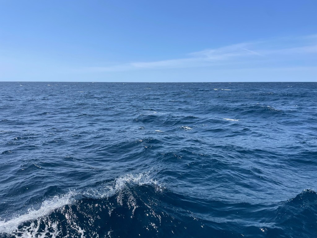 Birds of a Feather–Randall