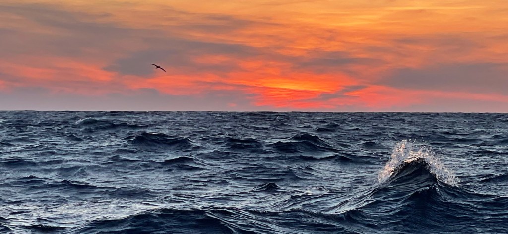 Like the Trades–Randall