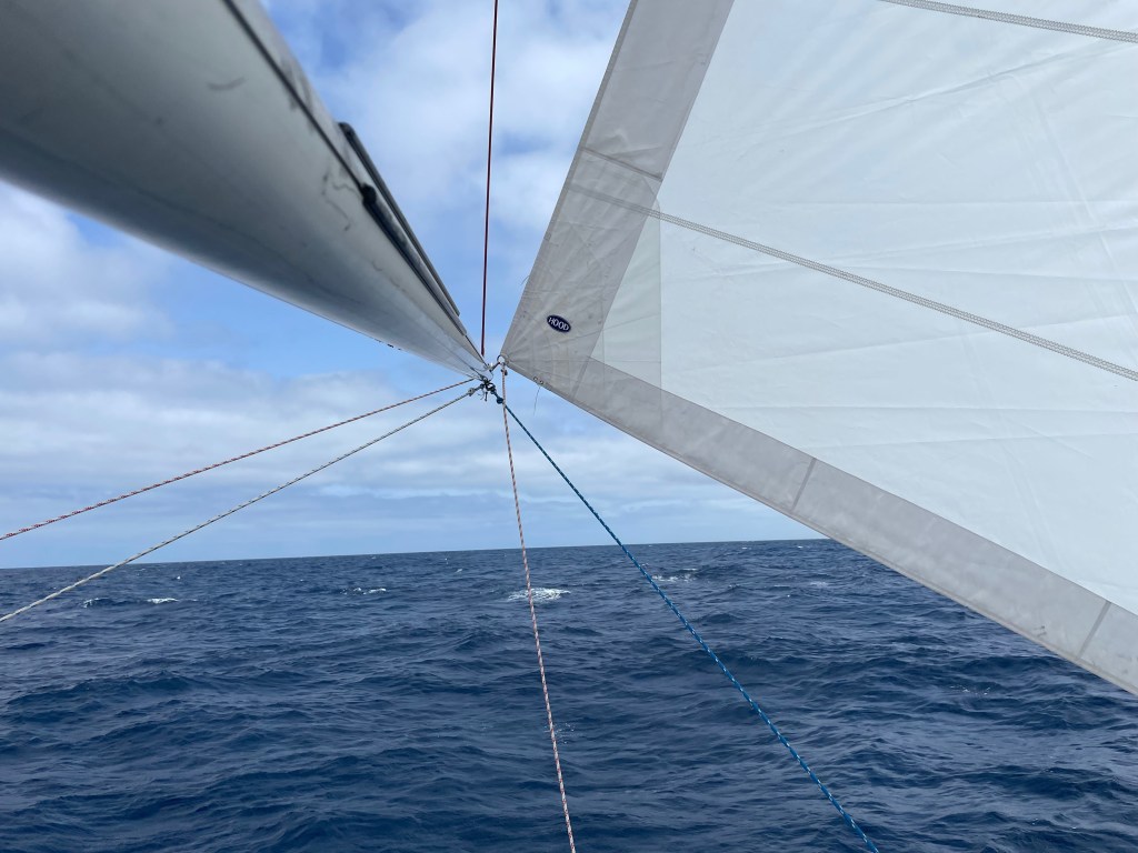 Tuning the Violin–Randall