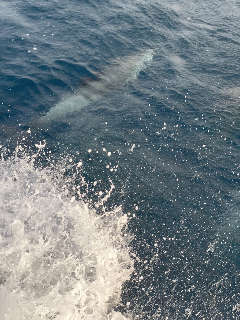 Rolling Explained–Randall