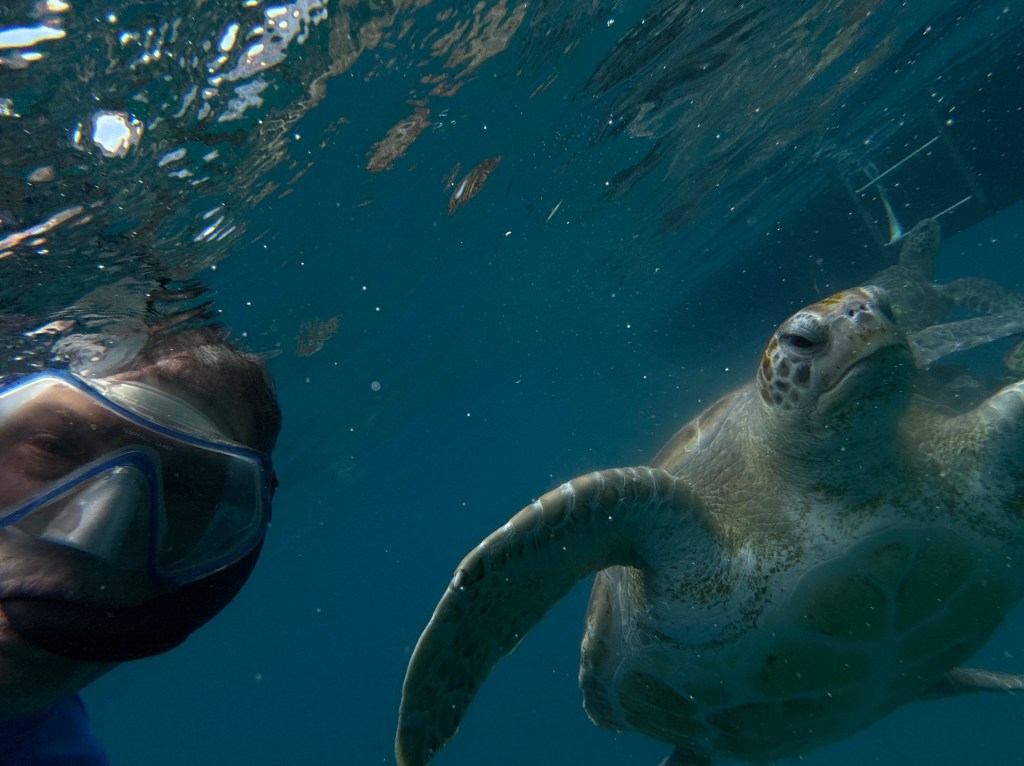 Waiting for Godot – by Harmon&nbsp;Shragge