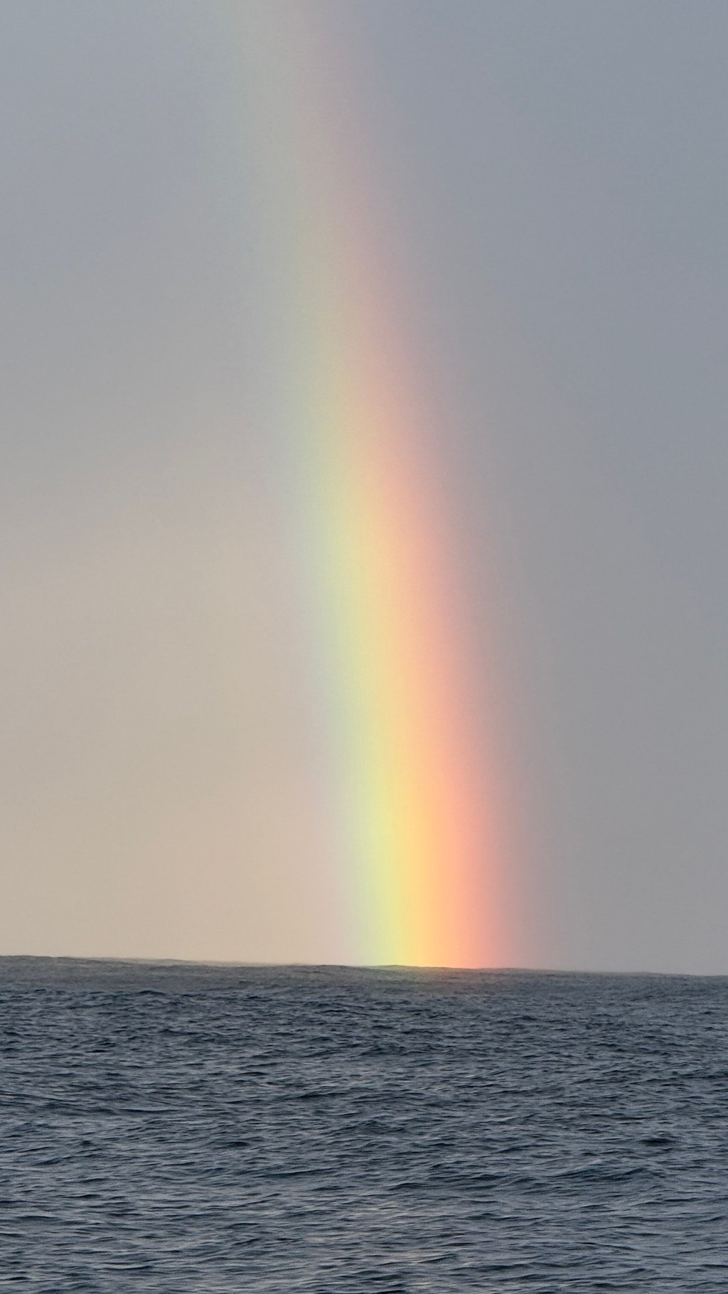 In the Zone – By Harmon&nbsp;Shragge